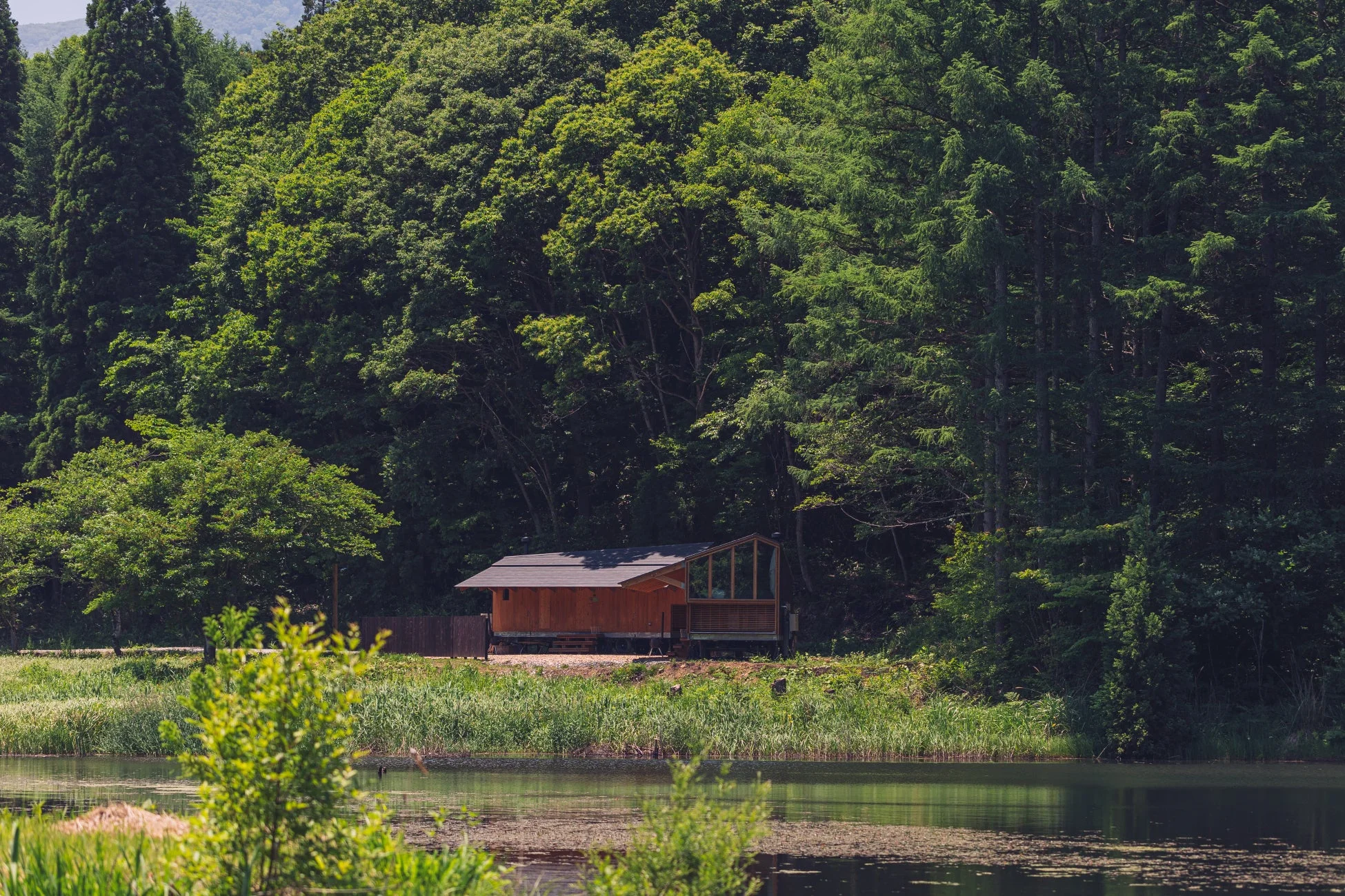 緑豊かな森と静かな湖畔に佇むモダンな木造キャビンの風景。自然に囲まれた穏やかな夏の情景が広がっています。
