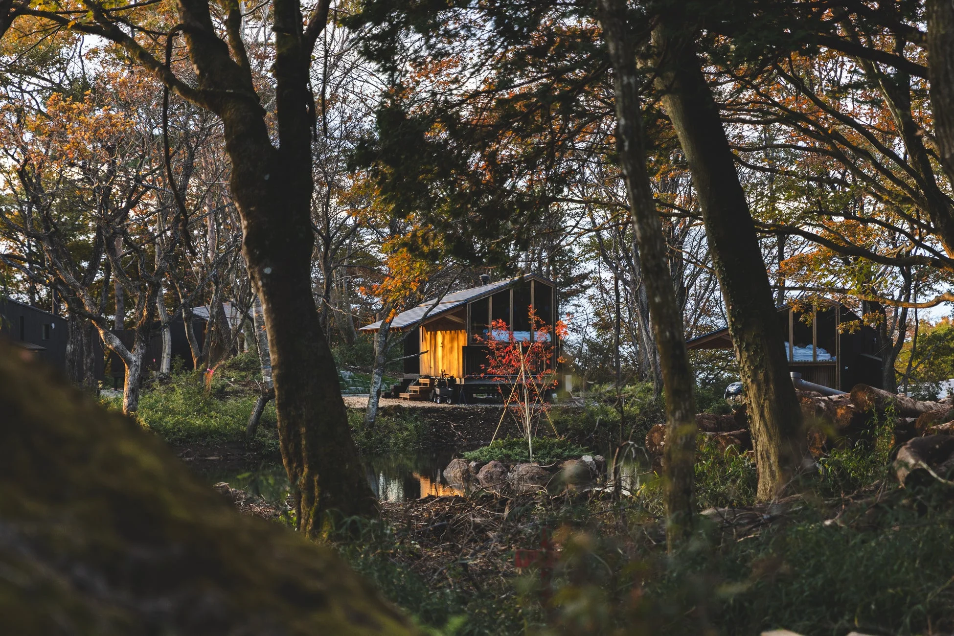 秋の森に囲まれた水辺に佇む、温かい光が漏れるモダンなキャビン。紅葉した木々と水面に映る光が、穏やかで神秘的な風景を作り出しています。